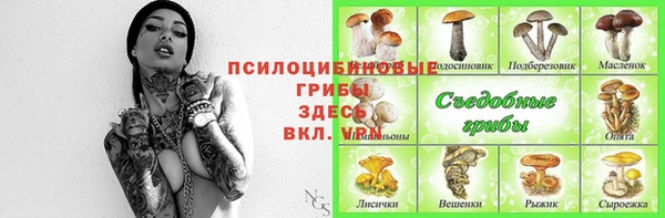 эйфоретик Алзамай
