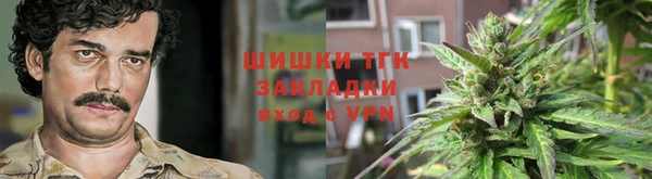 эйфоретик Алзамай