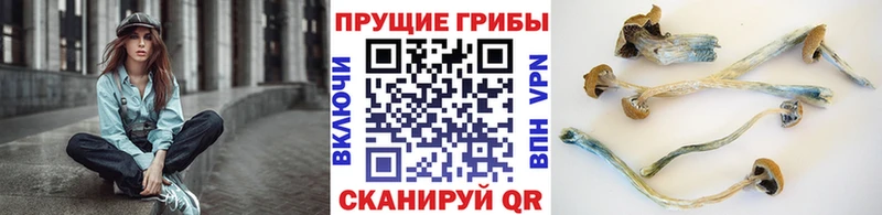 Псилоцибиновые грибы MAGIC MUSHROOMS  Кола 